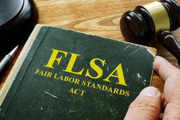 FLSA book